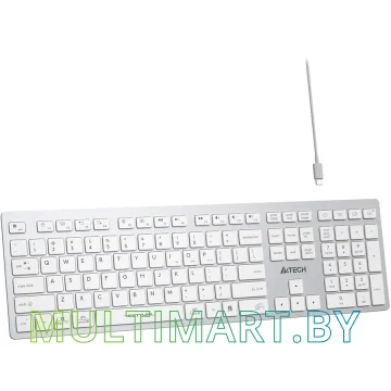 Клавиатура A4Tech Fstyler FBX50C (серебристый/белый) картинка 4